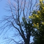side view