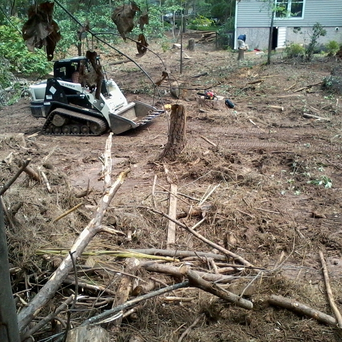 terex clearing,cleaning and grading the lot