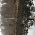 Masterson pond