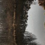 Masterson pond