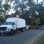 Silva Tree Service