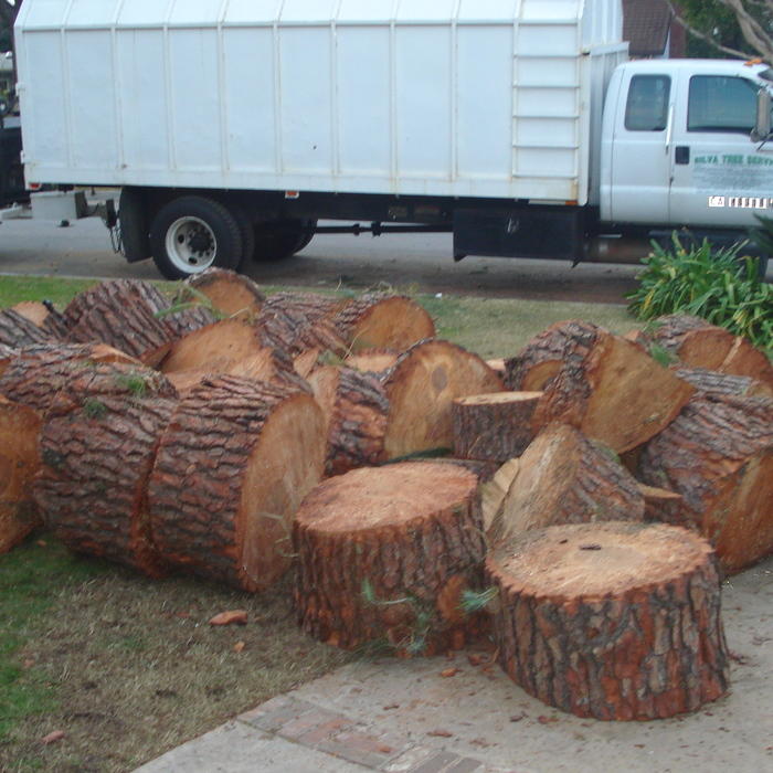 Silva Tree Service