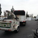Silva Tree Service