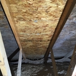 ATTIC MOLD