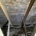 ATTIC MOLD