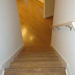 Stair treads and risers.