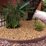 Drip line to irrigate plants