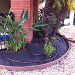 Irrigation Drip line