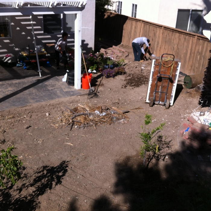 Before