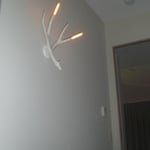Hall Antler Lights