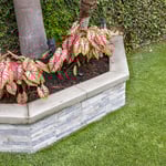 Orange Backyard Remodel