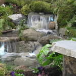 Ponds 1