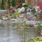 Ponds 2