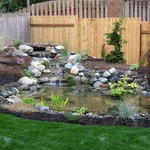 Ponds 3
