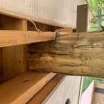 new structural member, raw cedar