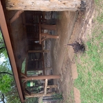 new structural member, raw cedar