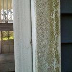 Before ALPHA Power Wash