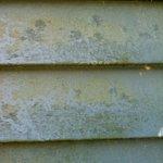 Before ALPHA Power Wash