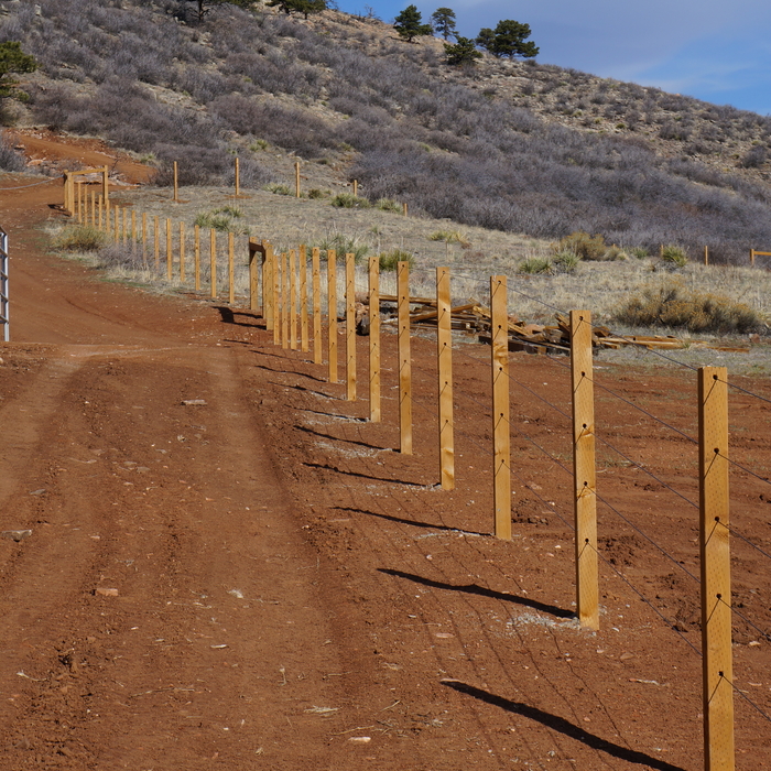 Horse safety fence.