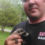 100% Humane Animal Removal