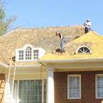 Treating with TWP (Total Wood Preservative)