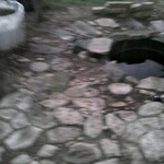 stepped walkway & fish pond