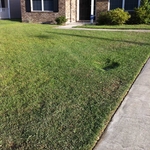 Residental Lawn Maintenance