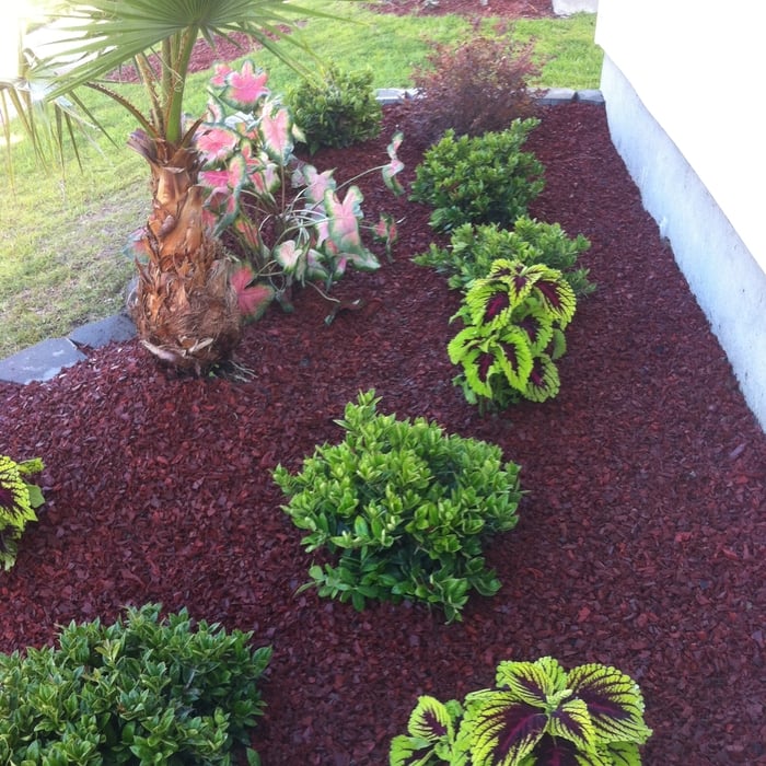 Plants Install and Red Rubber Mulch