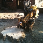 Stump being ground