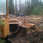Stump being ground