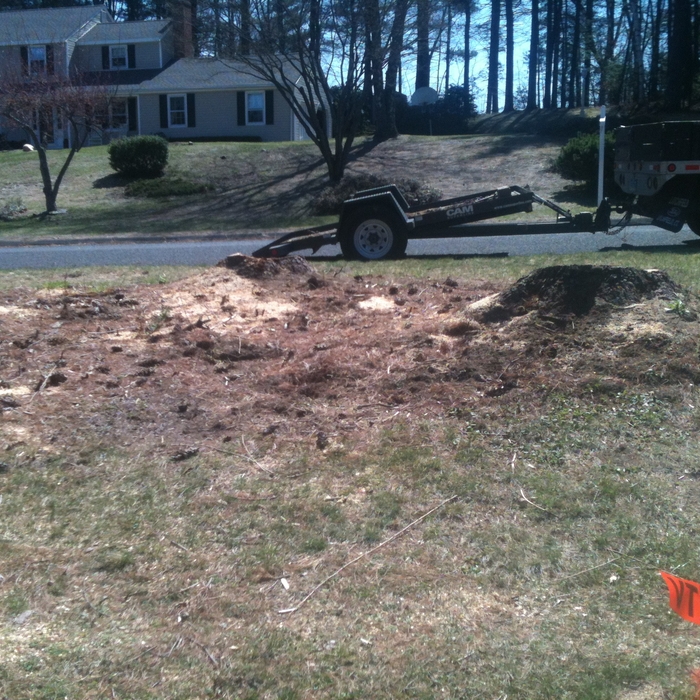 Stumps