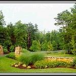 Lawn Maintenance