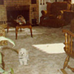 Home Projects