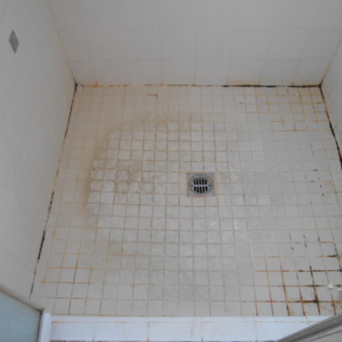 Shower Before
