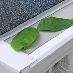 LeafFilter is not visible from the ground.