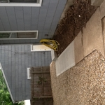 Repaired sidewalk