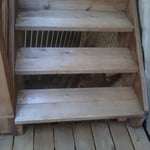 Stairs after pressure washing