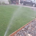 Precision watering