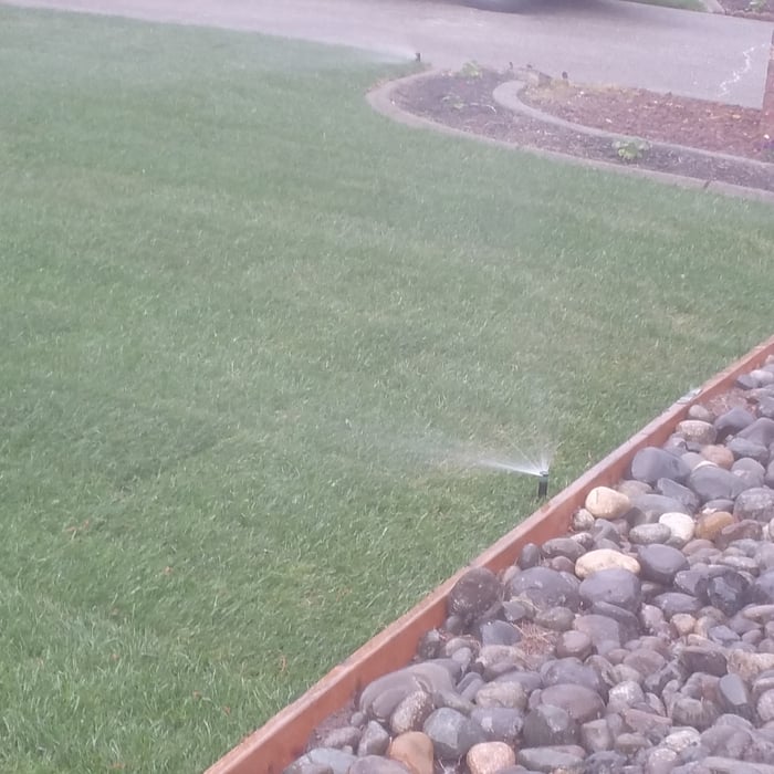 Precision watering