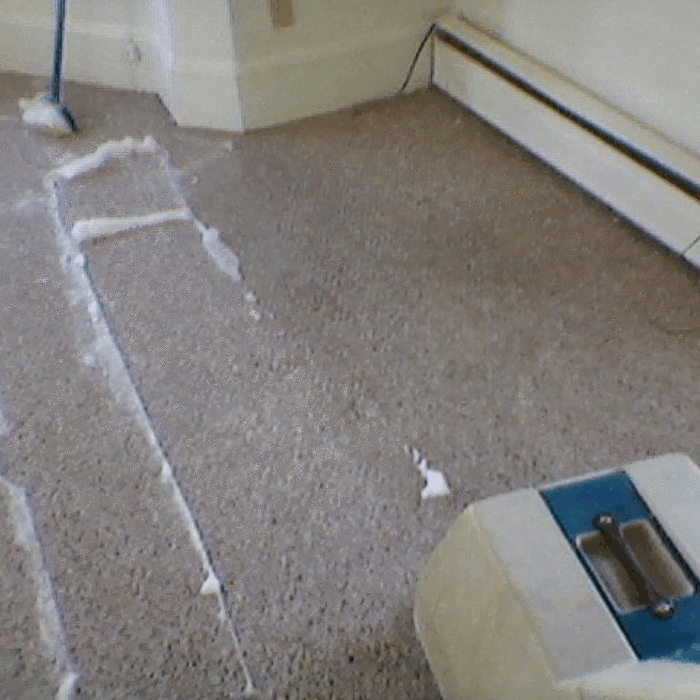photo5