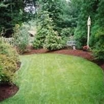 backyard looking off deck