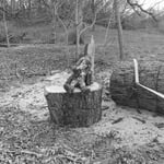 Williams farm cleanup