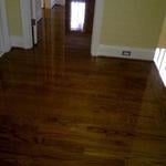 floor in drying stage!