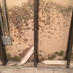Same bathroom, that looked fine in moisture map ph