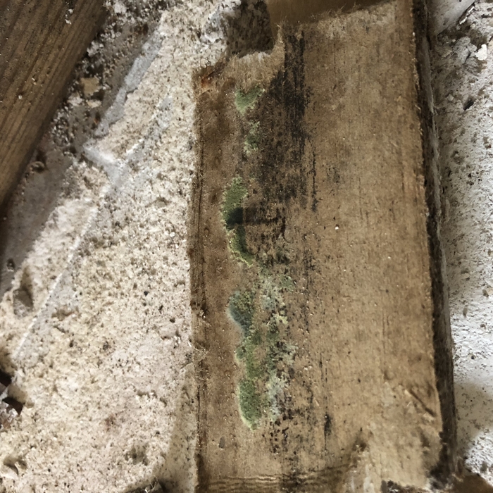 Mold