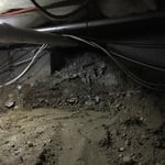 Mold remediation and reconstruction