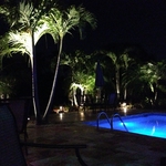 Outdoor Dining Landscape Lighting