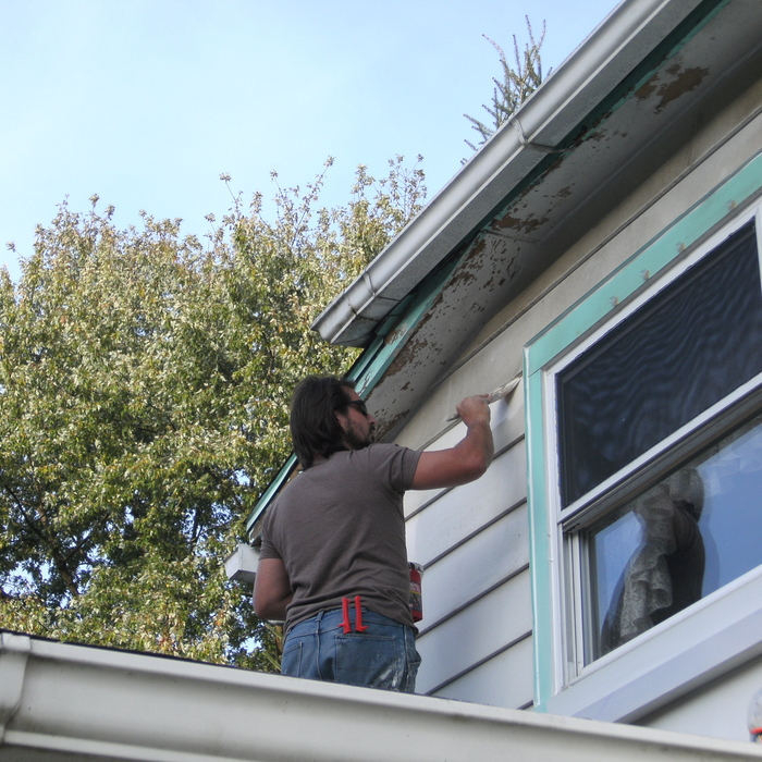 Painting Aluminum siding With Duration Paint