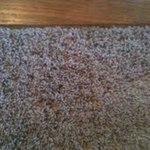 AFTER: Carpet Patch