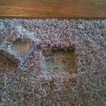 BEFORE: Carpet Patch